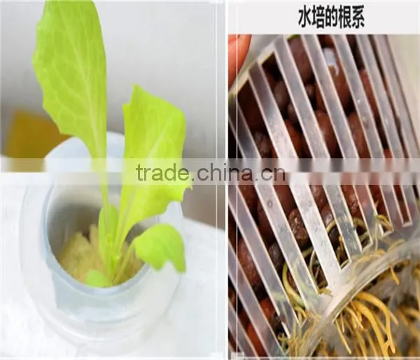 45*45mm Soilless Cultivation Out-planting Basket Hydroponic Basket Cup Hydroponics; Water Culture photo-4