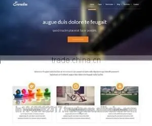 Competative Website Designing, SEO Friendly Web Design & Development