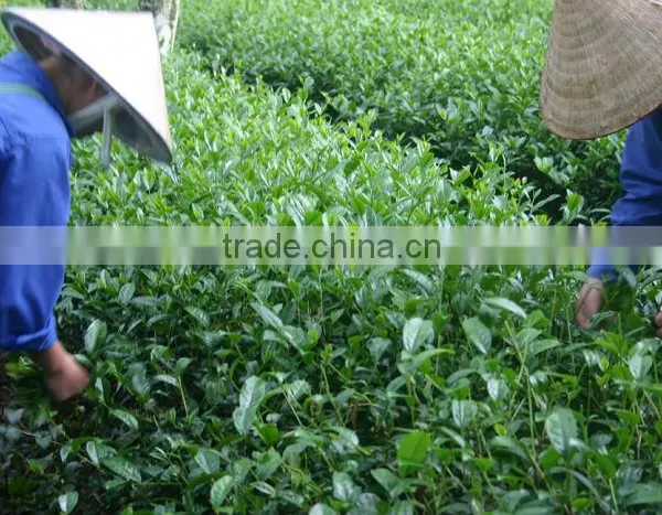Black Tea Gift Box 400gr photo-4