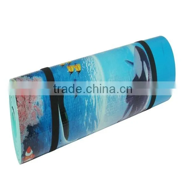 Color Aluminum Foil Camping EVA Foam Mat photo-4