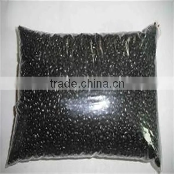 Probiotics Feed Additive Bacillus Subtilis Animal Feed Additive