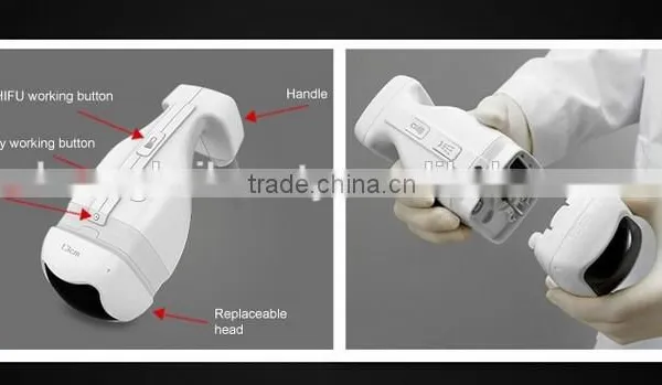 Manufacture New Ultrasound Machine/ Anti Cellulite Ultrasound Slimming Machine for Weight Loss and Fat Removal photo-4