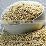 FRESH INDIAN QUINOA CERTIFIED BY KOSHER, GMP, HALAL, ISO22000, FDA photo-5