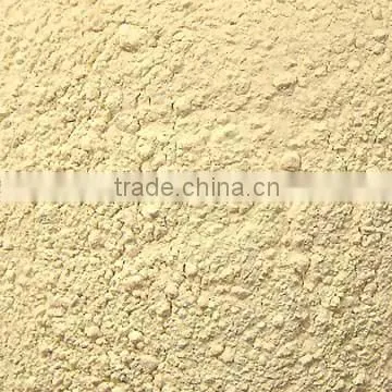 Dehydrated Garlic Powder