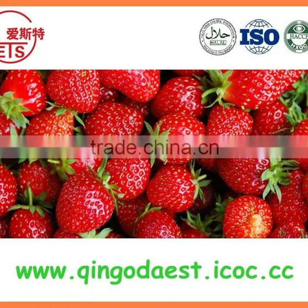 Bulk High Quality 25-35mm Chinese Fresh Strawberry photo-4
