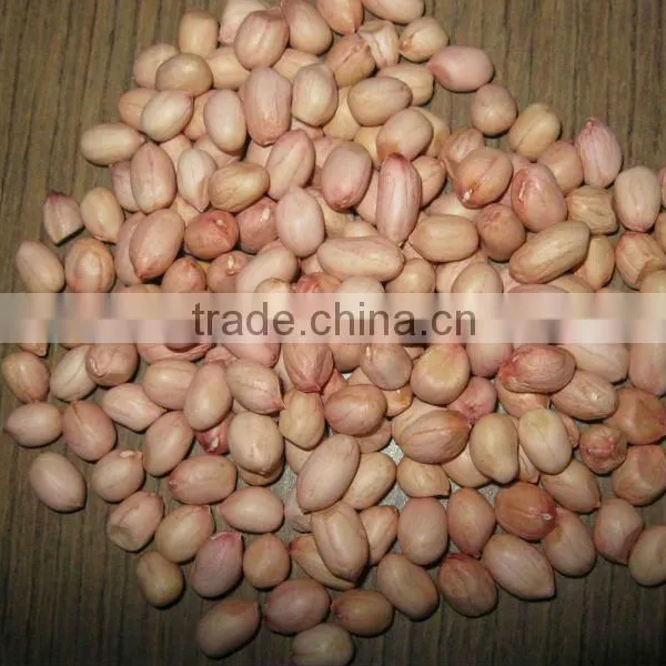 Java Peanut photo-4