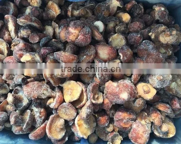 2015 Low Price Frozen Suillus Granulatus photo-3