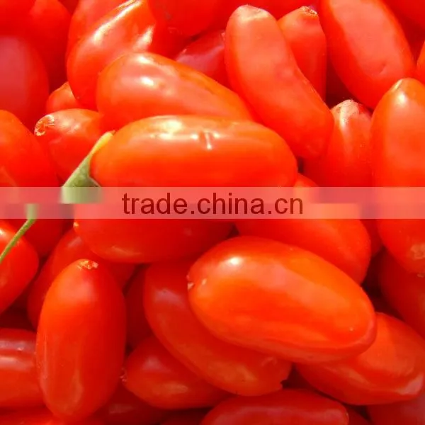 Fresh Goji Juice Concentrate photo-2