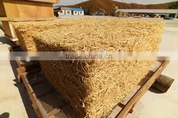 Panax Ginseng Powder photo-4