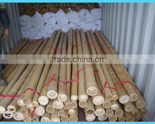WY-219 2016 Natural Moso Large Bamboo Poles Sale Cheap for Garden Plant and Construction photo-4