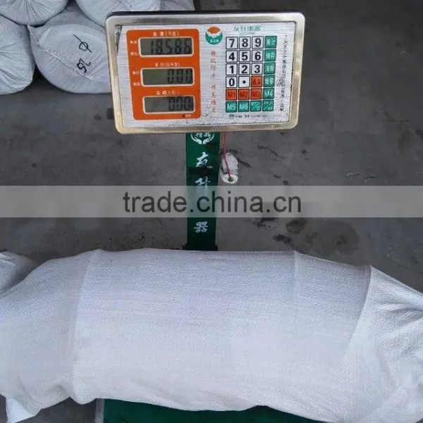 Solid Rubber Wheels 8 Inch for Chile Market photo-5