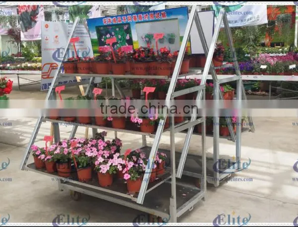 Hot Sales Display Danish Flower Trolley Cart With Pulling System photo-5
