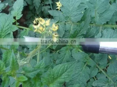 2017 New Electric Tomato Pollinator. photo-3