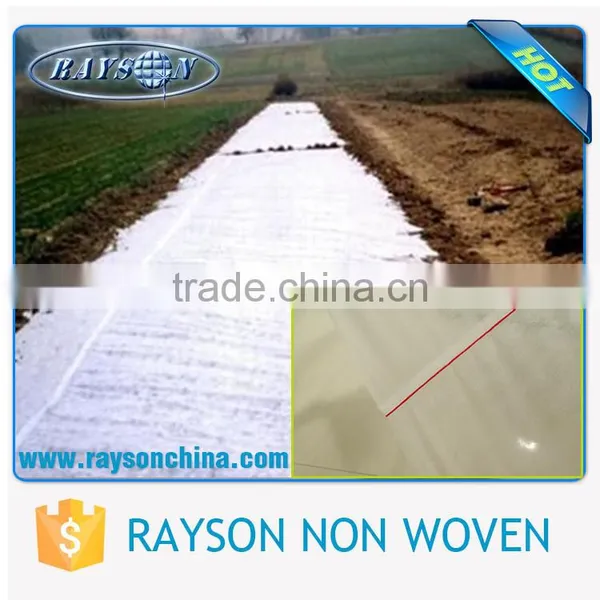 PP Spunbond Weed Control / Ground Cover / Landscape Fabric Wholesale photo-6