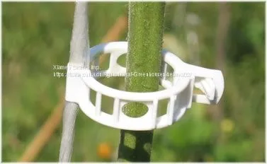 Hanging Tomato Clips photo-4