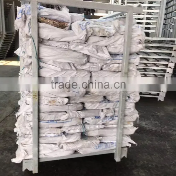 Good Quality Frozen Illex Argentinus Squid photo-4