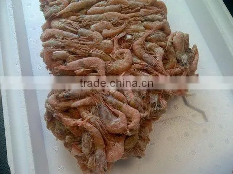 Pink Shrimp