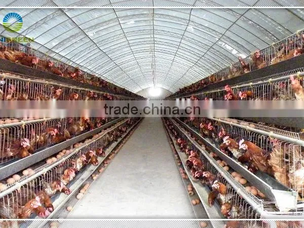 Easy Assembled Comericial Poultry Breeding Greenhouse photo-2