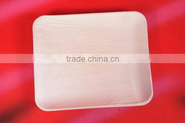 ARECA DISPOSABLE PLATES photo-2