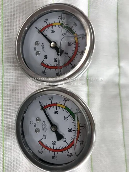 Industrial Heavy Duty Waterpfoof Pressure Gauge for Hydraulic Press Brake photo-2