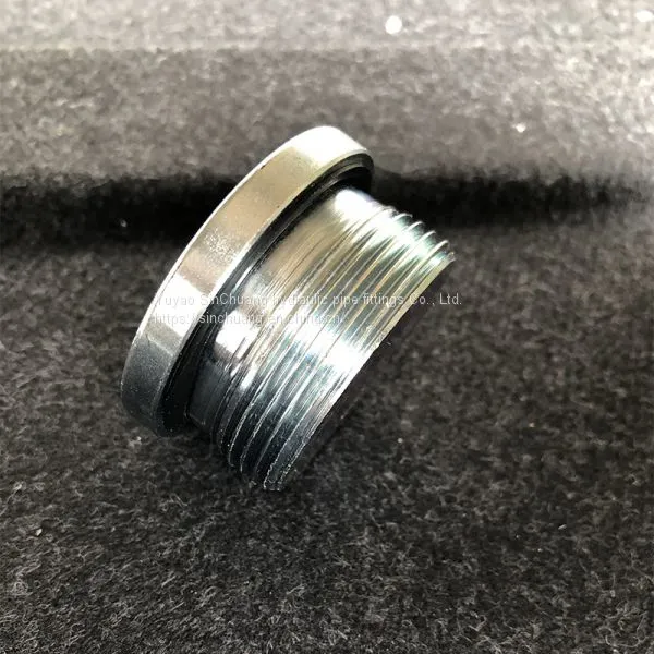 BSP Male Captive Seal Internal Hex Plug