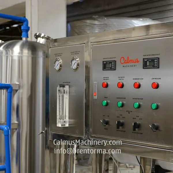 3TPH Australia Ordered Commercial RO Water Reverse Osmosis System photo-2