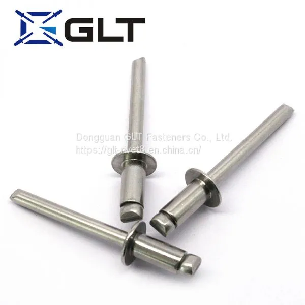 Stainless Steel Blind Rivet/rivets