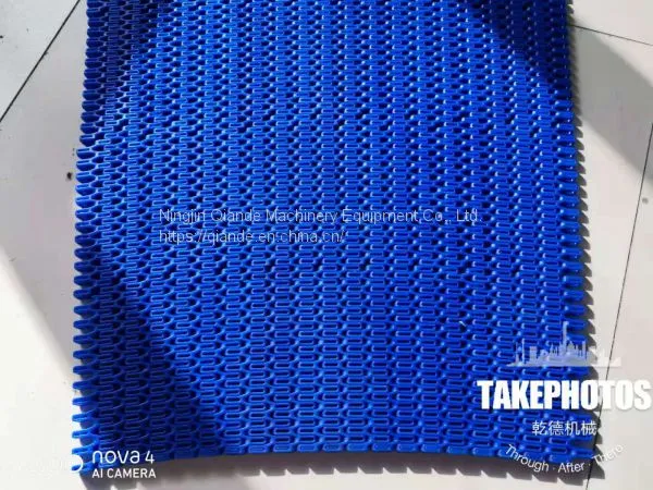 Manufacturer of Plastic Chain Plate Conveyor Belt photo-5