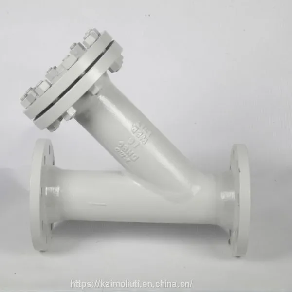 WCB Flange Ends Y Strainer for Water Oil photo-3