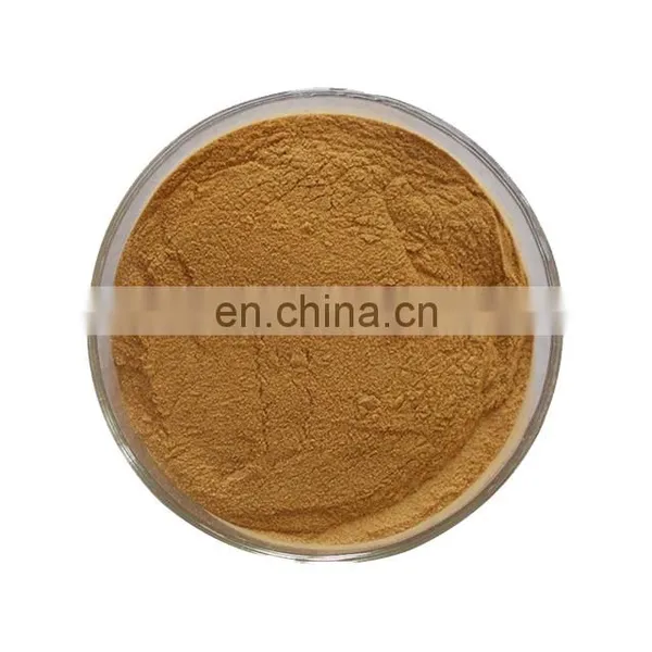 Free Sample Pure Natural Gambir Catechin Gambir Extract photo-3