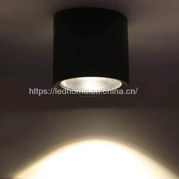Surface IP65 Waterproof LED Down Lights (20W) photo-4
