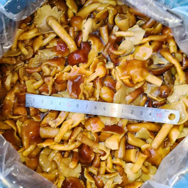 Nameko in Brine B Grade photo-2