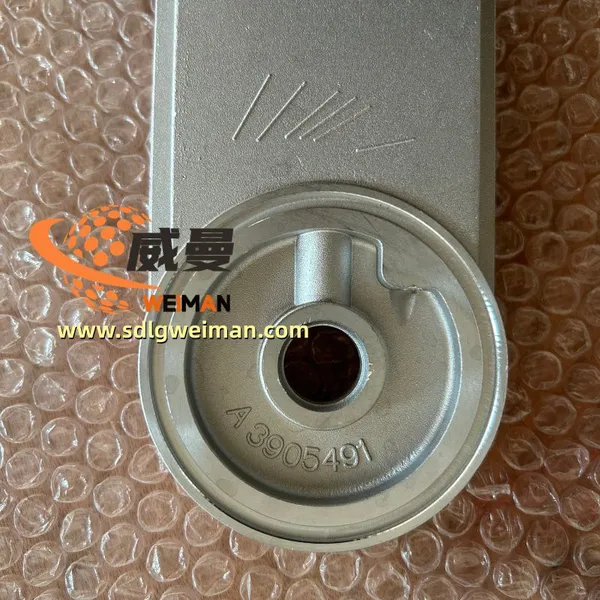 ORIGINAL HYUNDAI Fuel Filter Head 49891169 HIGH QUALITY HOT SALE photo-4