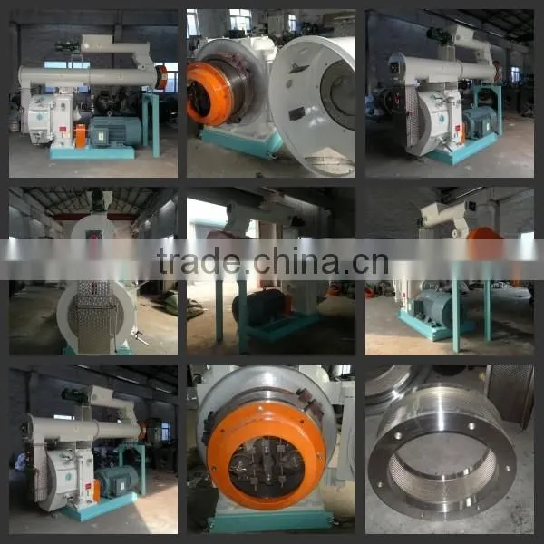 300-500kg/h Home Use Small Chicken Feed Pellet Line/ Small Animal Feed Production Line photo-6