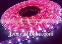 New High Quality LED Flexible Strip3528SMD IP65 60LED/MDC 12V LED Strip photo-6