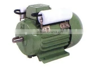 asynchronous motor
