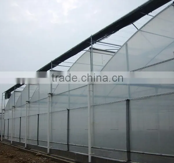 Cut Flower Greenhouse For Middle East photo-2