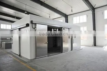 PU Sandwich Panel Door for Cold Room Construction photo-2
