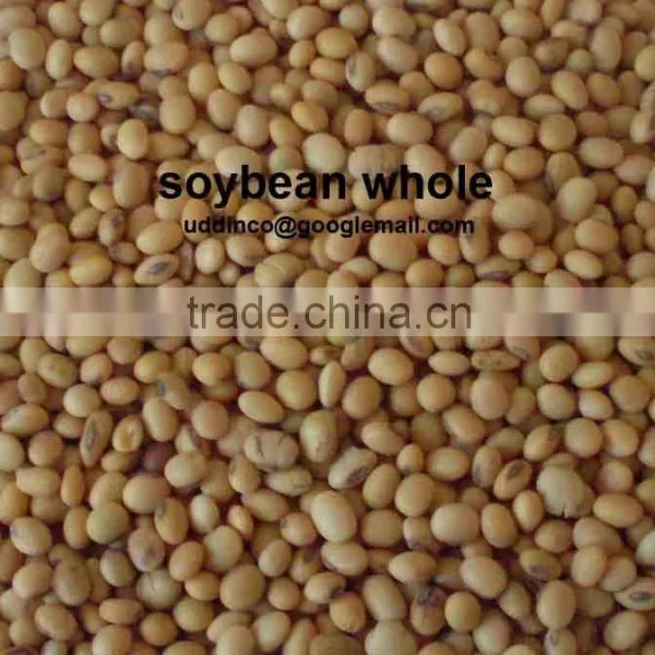 Soybean