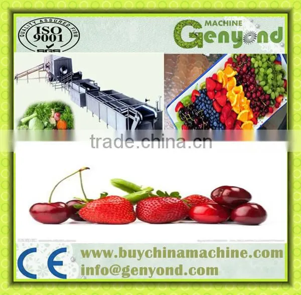 -150 C Cryogenic Tunnel Quick Frozen for Fruit and Vegetable Product Line