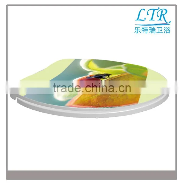 soft closing hinges toilet seat