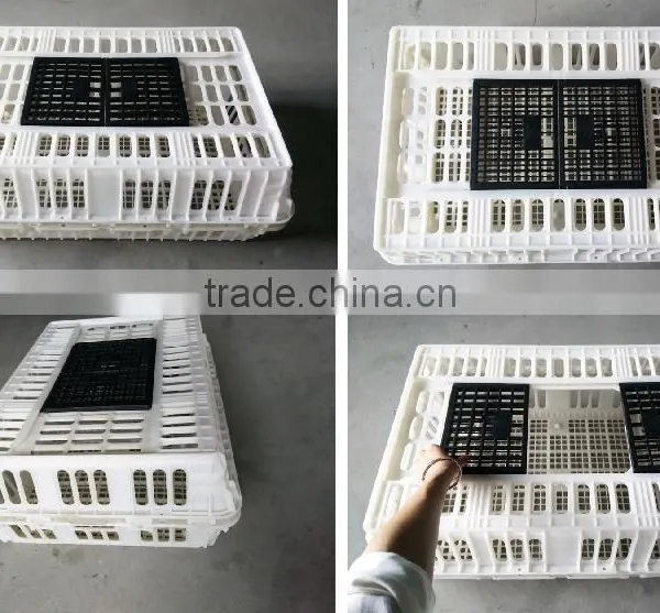 Plastic Chicken Layer Cage for Sale photo-2