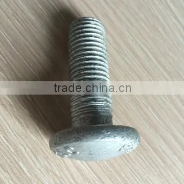 Round Head Bolts HDG Finish photo-4