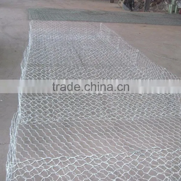 Lowest Price Forcement Hexagonal Wire Netting photo-3