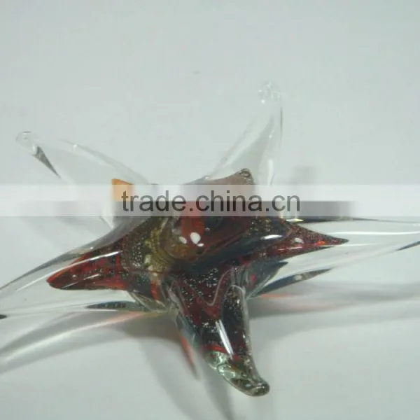 Glass Starfish photo-5