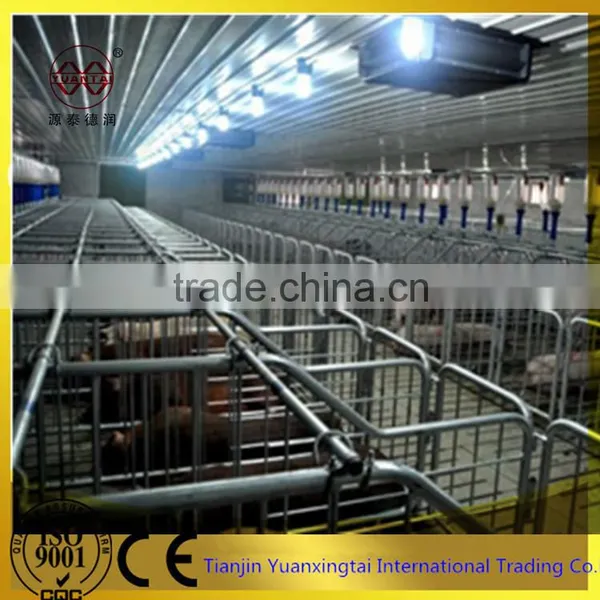 Pig Gestation Stall/galvanised Steel Pipe/tube photo-2
