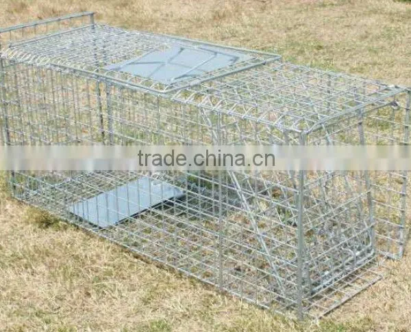 Collapsible One-door Live Animal Cage Trap For Raccon,Stray Cat,Groundhog, Opossum,Armadillos