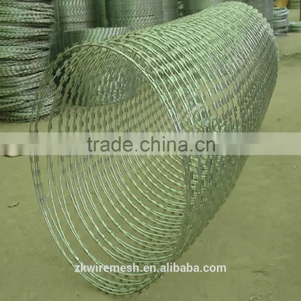 Hot Sale Good Price Razor Barbed Wire for Protection photo-5