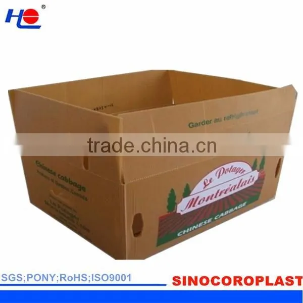 PP Plastic Corrugated Packaging Box photo-2