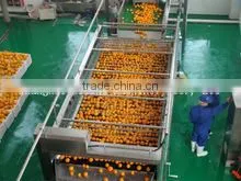 Citrus Processing Line for Produce Orange Juice photo-2
